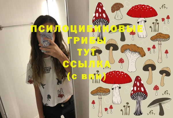 2c-b Аркадак